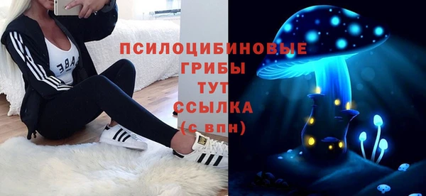 гашик Тольятти