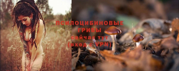 гашик Тольятти