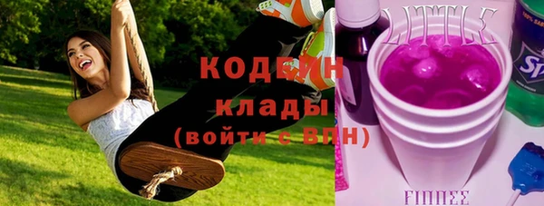 шишки Пересвет