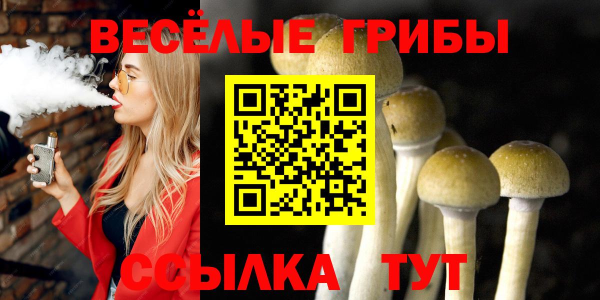 Галлюциногенные грибы Psilocybine cubensis Электрогорск
