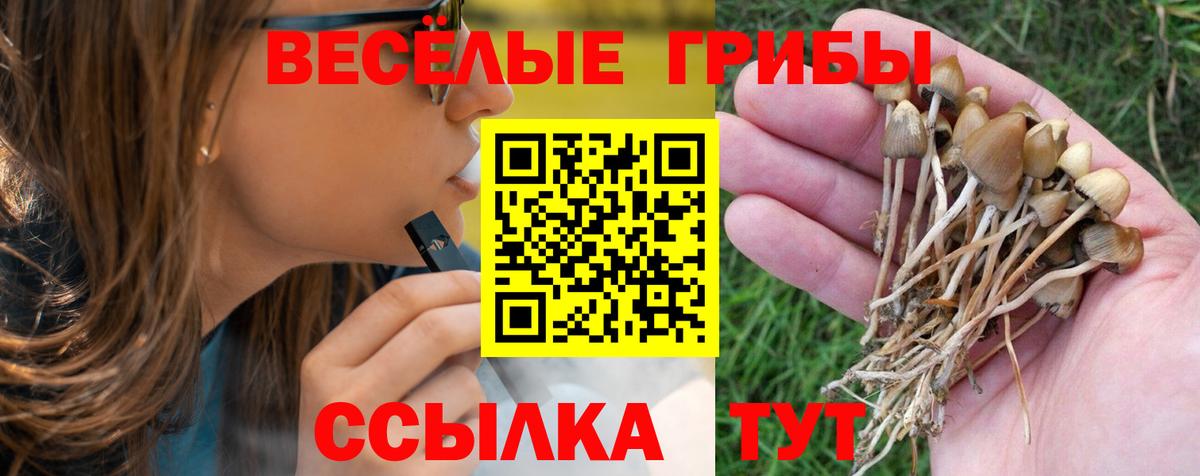 Электрогорск  купить наркотики цена  Вход с VPN  Галлюциногенные грибы MAGIC MUSHROOMS 